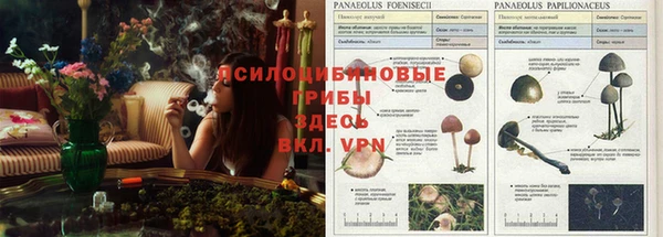 мдпв Киренск
