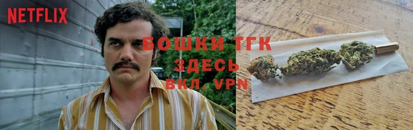 тгк Кинешма