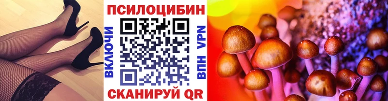 Псилоцибиновые грибы Cubensis Фролово