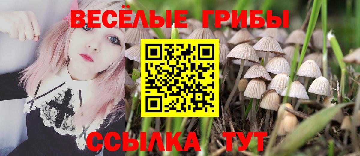Псилоцибиновые грибы Psilocybe Фролово