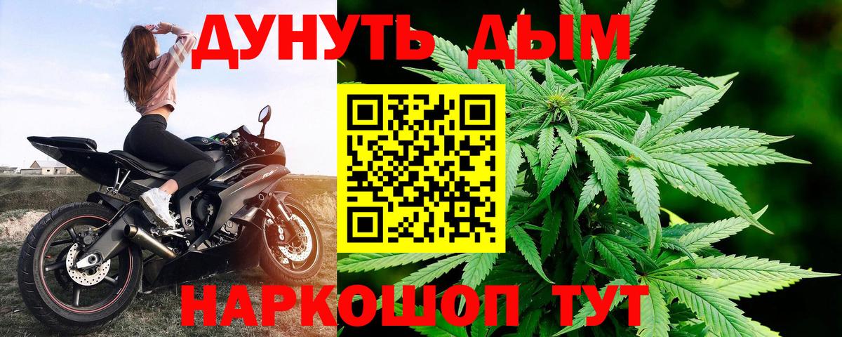 Фролово  Бошки марихуана план  Вход с VPN  Бошки Шишки SATIVA & INDICA  Конопля сатива 